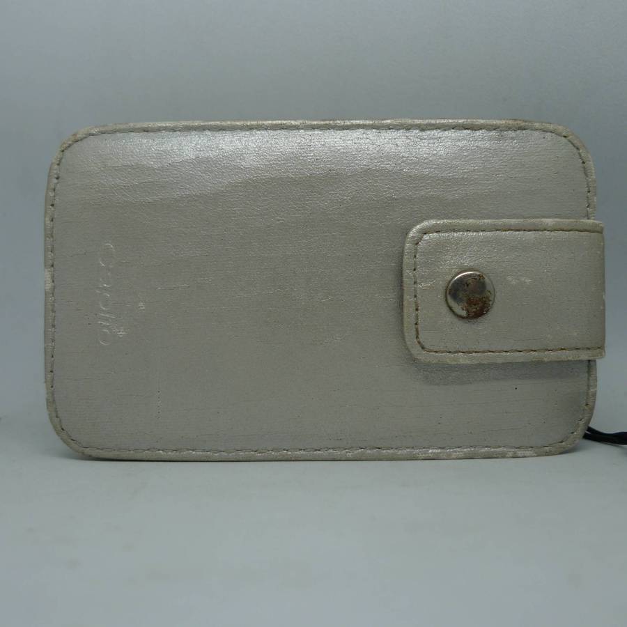 Ricoh Caplio R1v - 5.0 Megapixels - 4.8x Optical Zoom