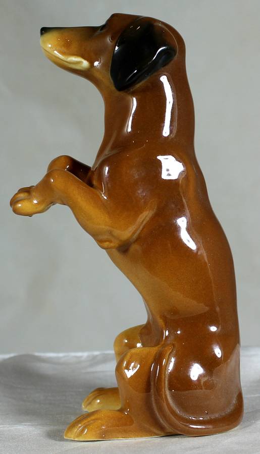 Volkstedt - begging dachshund