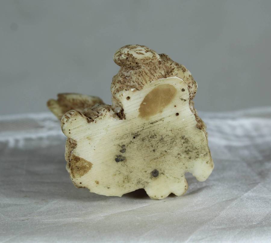 Small pair of bunnies