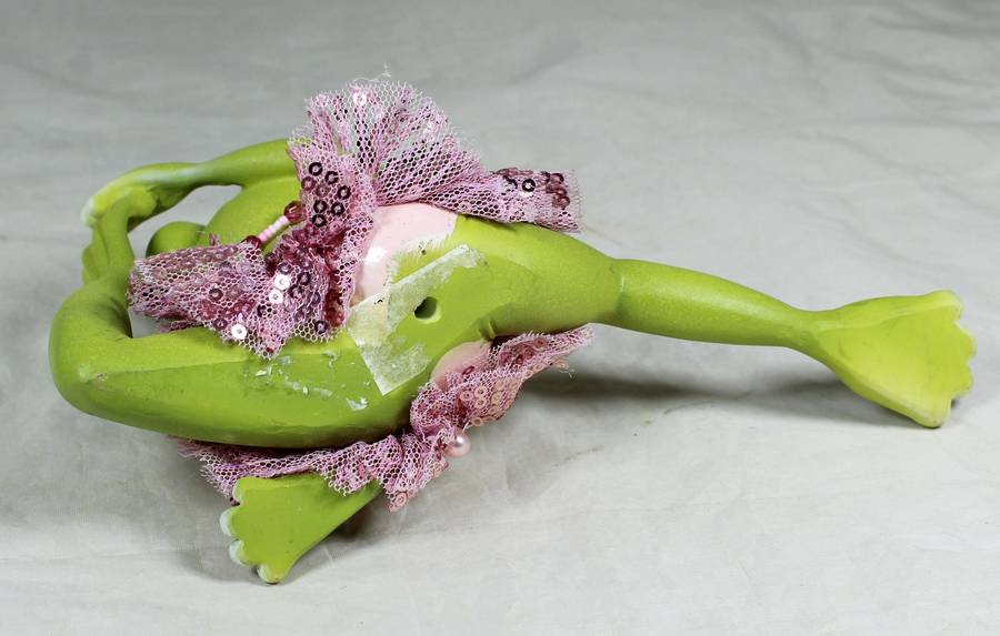 Dancing frog in a tutu