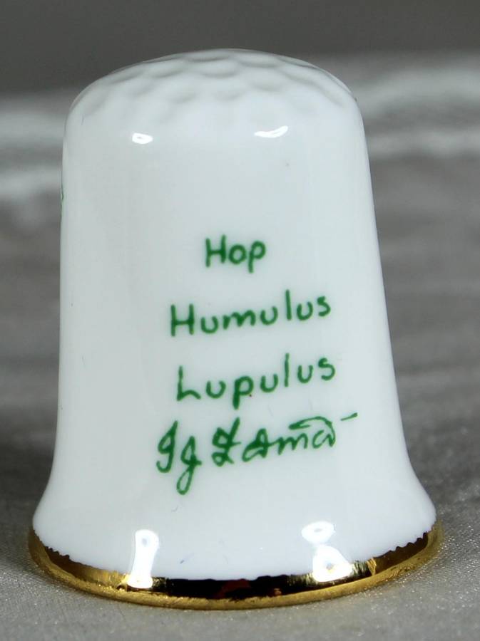 Bone China thimble - Hop Humulus Lupulus