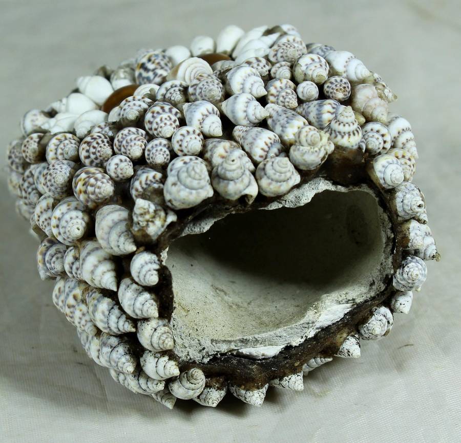 Ceramic owl covered with shells