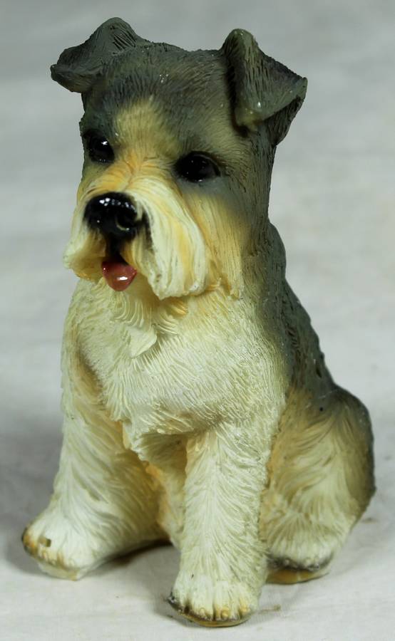 Schnauzer small molded dog