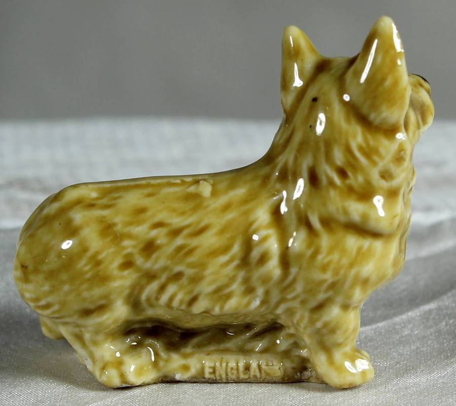 Wade Whimsie - Corgi