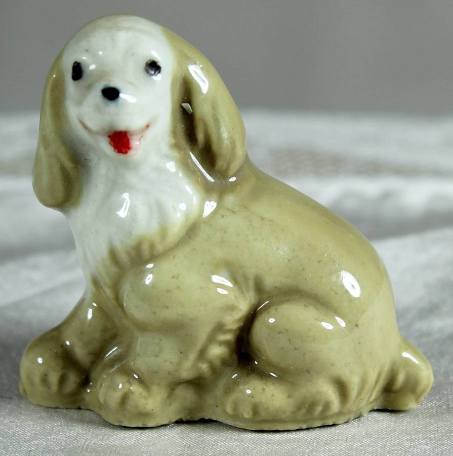 Wade Whimsie - Whimsieland puppy