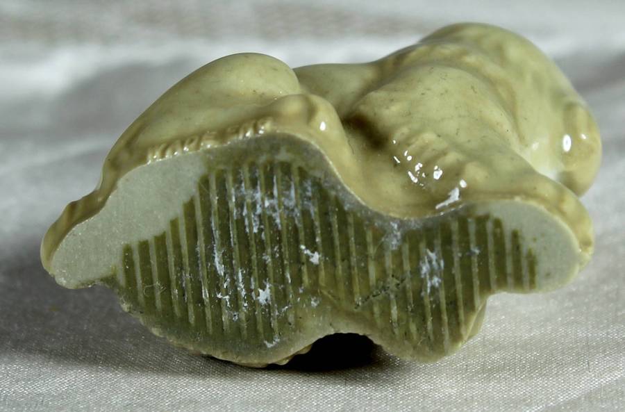 Wade Whimsie - Whimsieland puppy