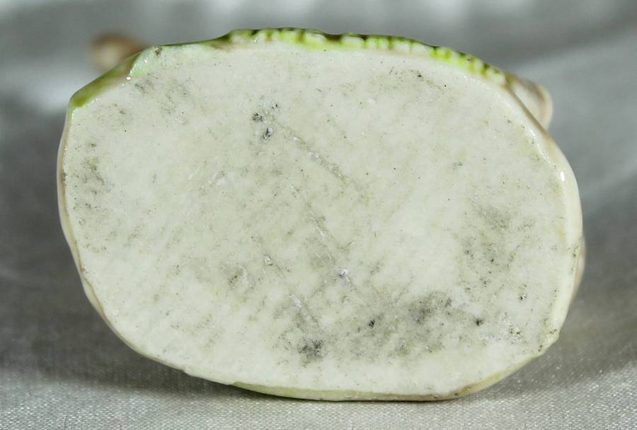 Wade Whimsie - Playful Lamb