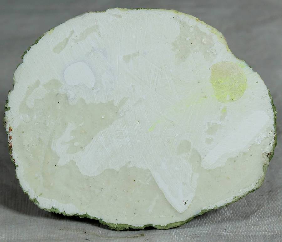 Small house with mother rabbit