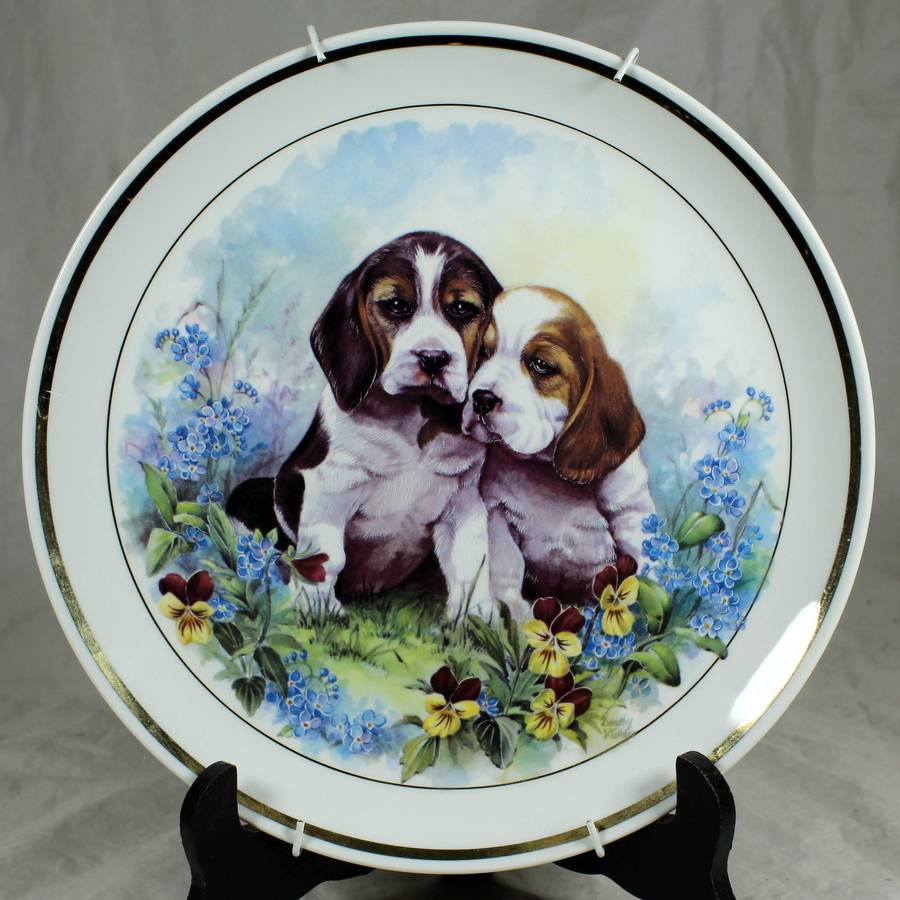 Continental China - beagle puppies - display plate