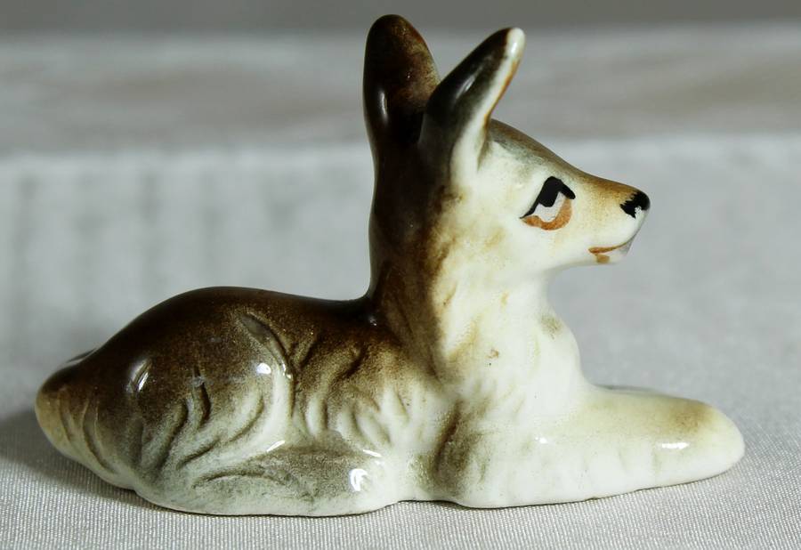 Miniature doe laying down