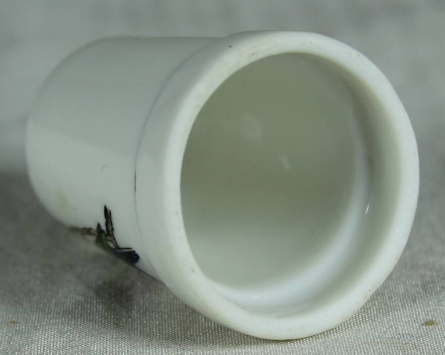 Bone China thimble - exotic parrot