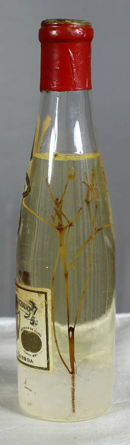 Mini liquor bottles - Ancora - Anis cristal
