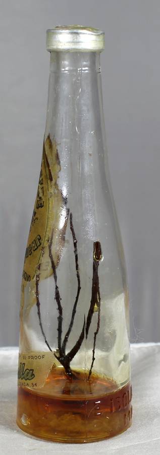 Mini liquor bottles - E. Isolabella - Desert liqueur