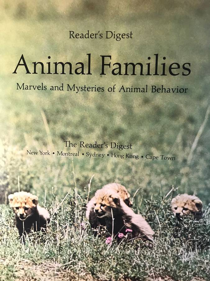 Animal Families: Marvels and Mysteries of Animal Behavior - Glen McBride & NJ Berrill