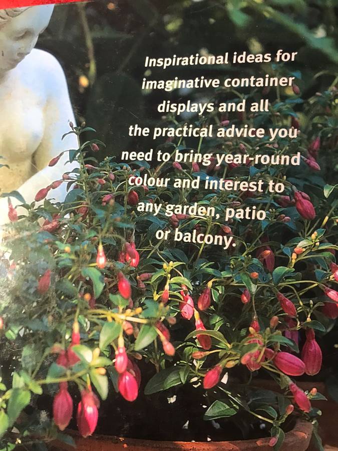 Container Gardening for All Seasons: A Practical Guide for South African Gardeners