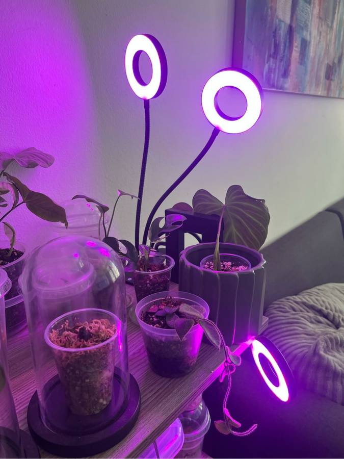 LED Grow Lights 36W