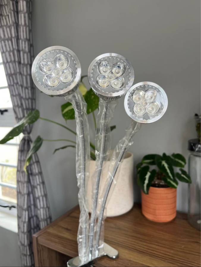 Growlights
