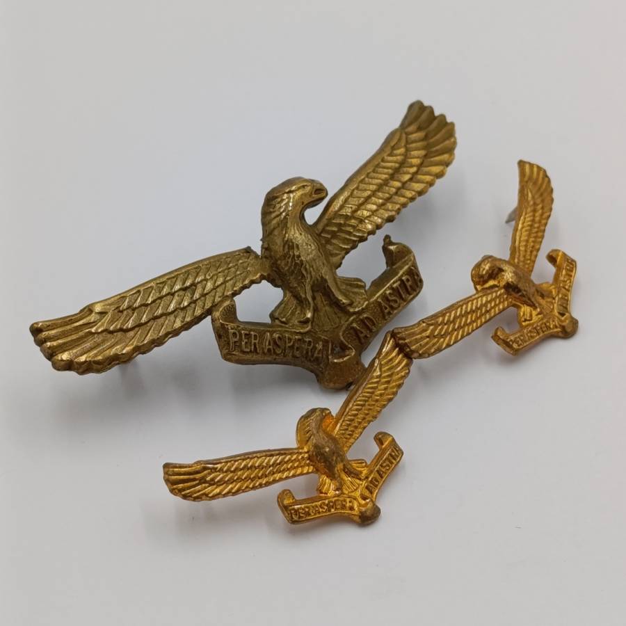 Set of SA Air Force cap and collar badges