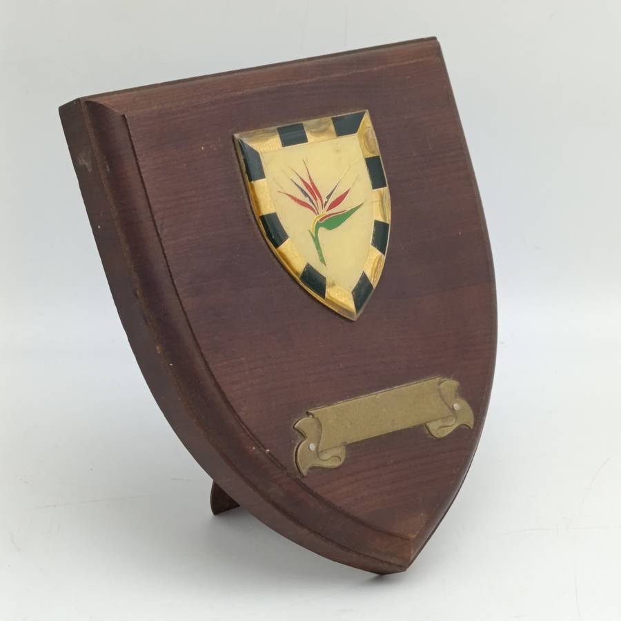 SADF 6 SA Infantry plaque - unissued