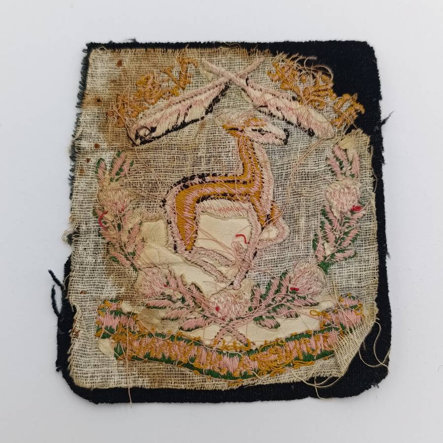 Public Servant Association of South Africa cloth badge