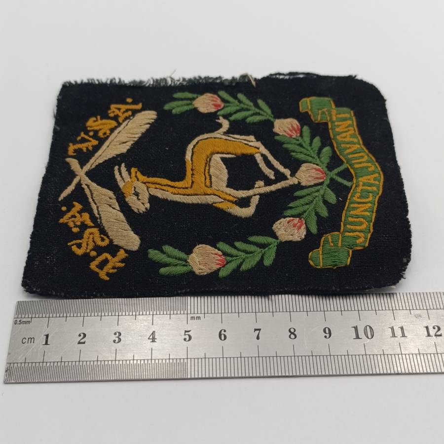Public Servant Association of South Africa cloth badge