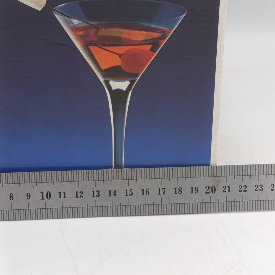 Set of 4 Tiziano martini glasses in box