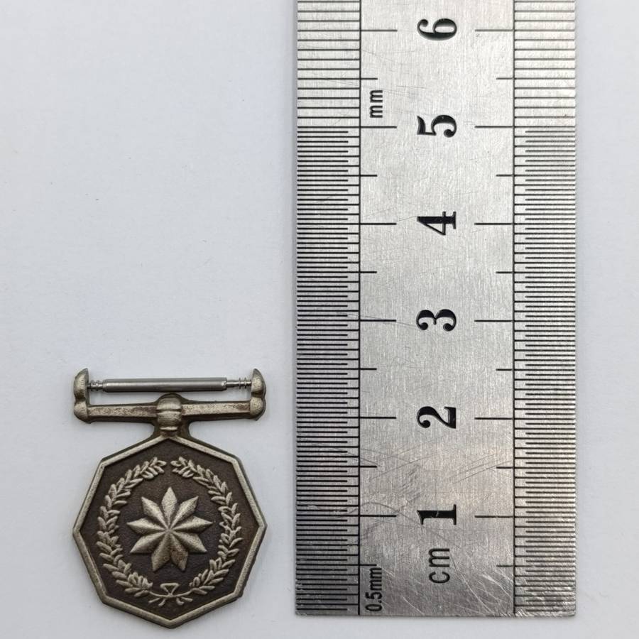 SANDF Tshumelo Ikatelaho medal plus miniature #2232