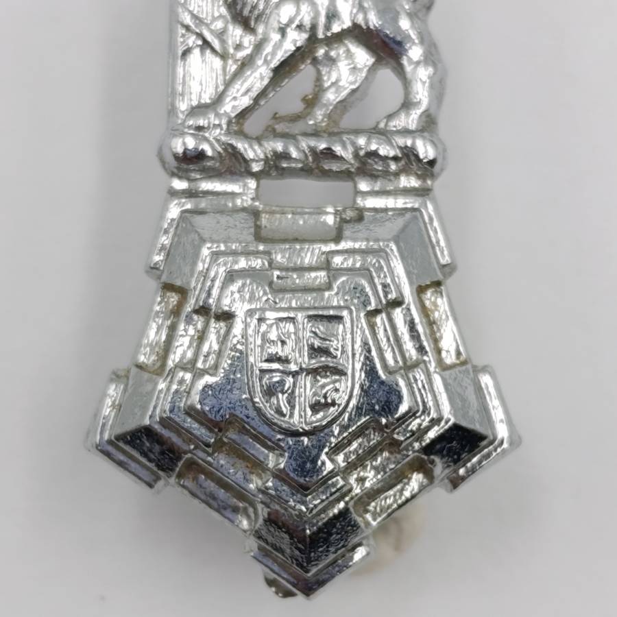 Pair of SA Staff corps mess dress collar badges - post 1980