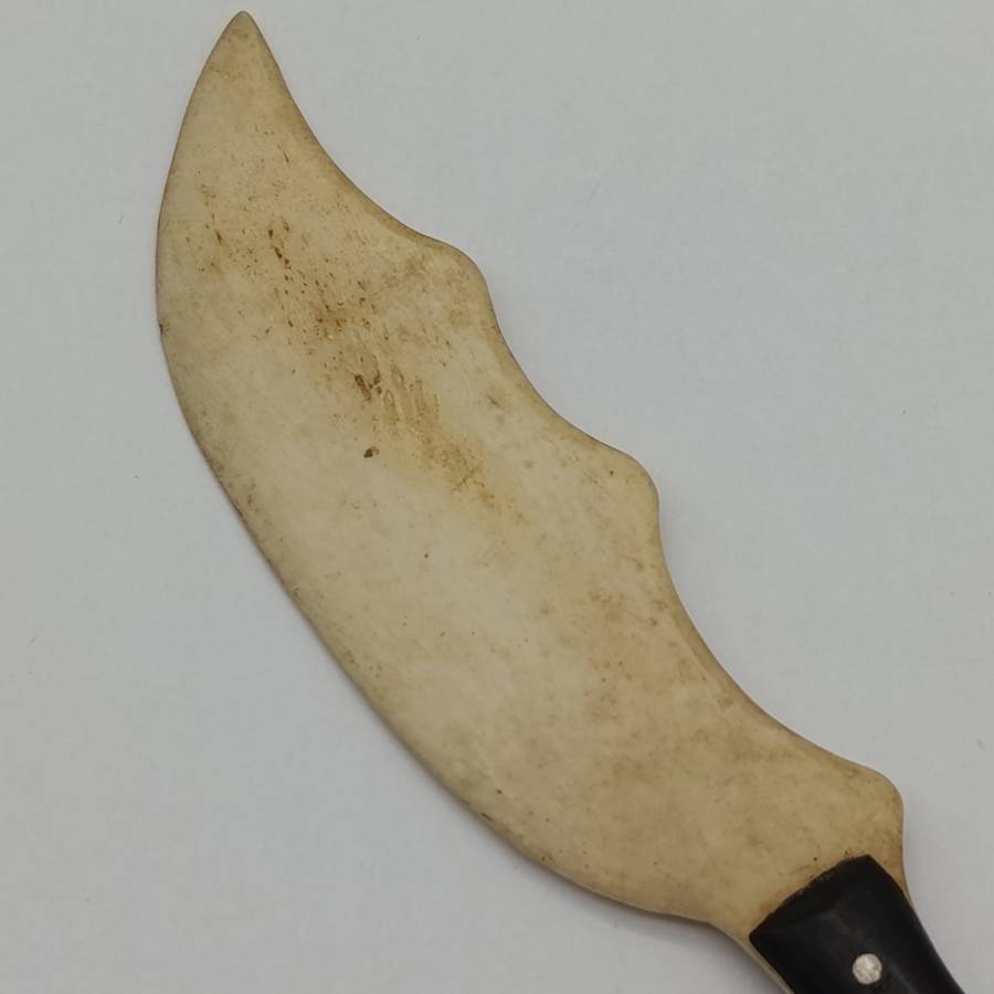 Boer War Pow trench art knife of bone and ebony - inscribed Boer Camp Ceylon 1901