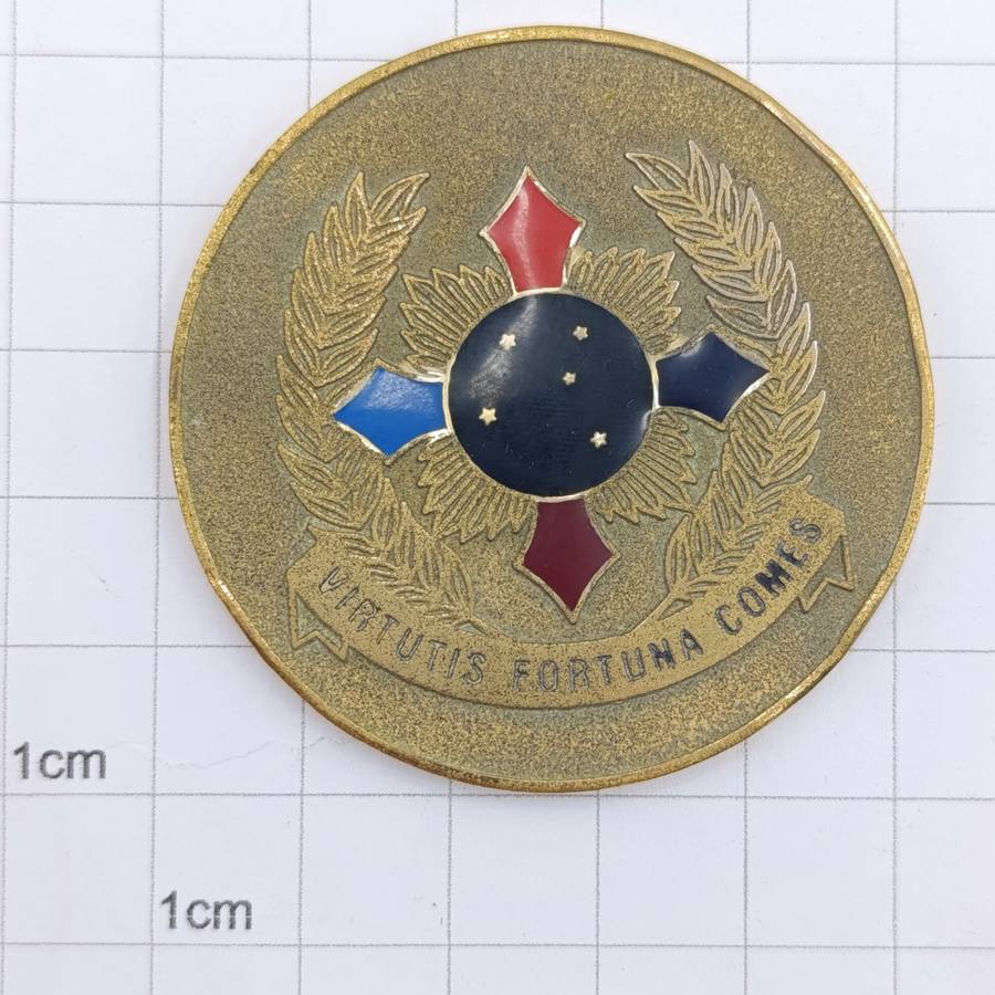 SADF Joint Tactical forces medallion