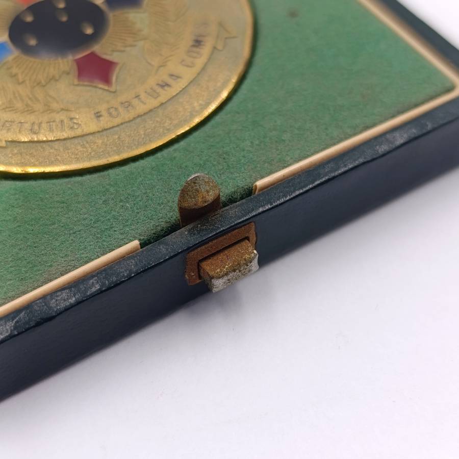 SADF Joint Tactical forces medallion