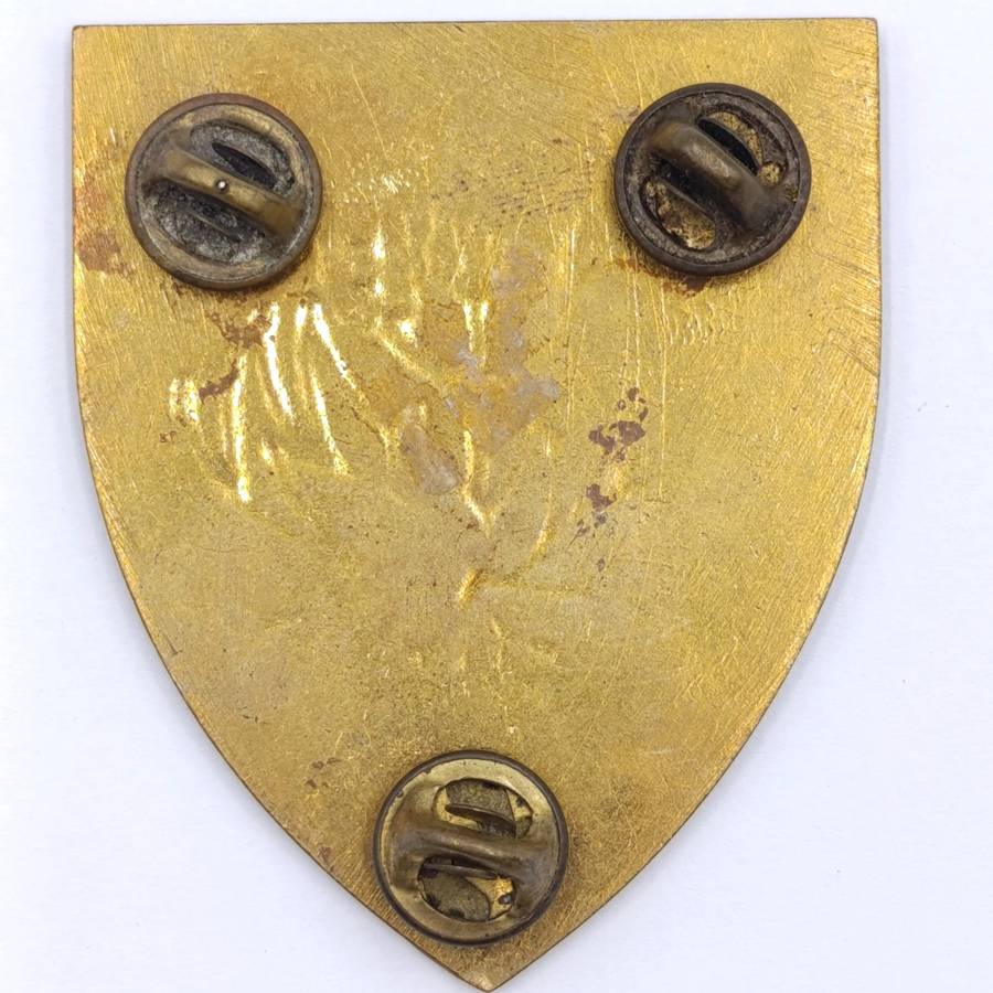 SADF Regiment Piet Retief shoulder flash