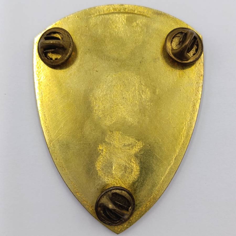 SADF 2 Field Ambulance shoulder flash