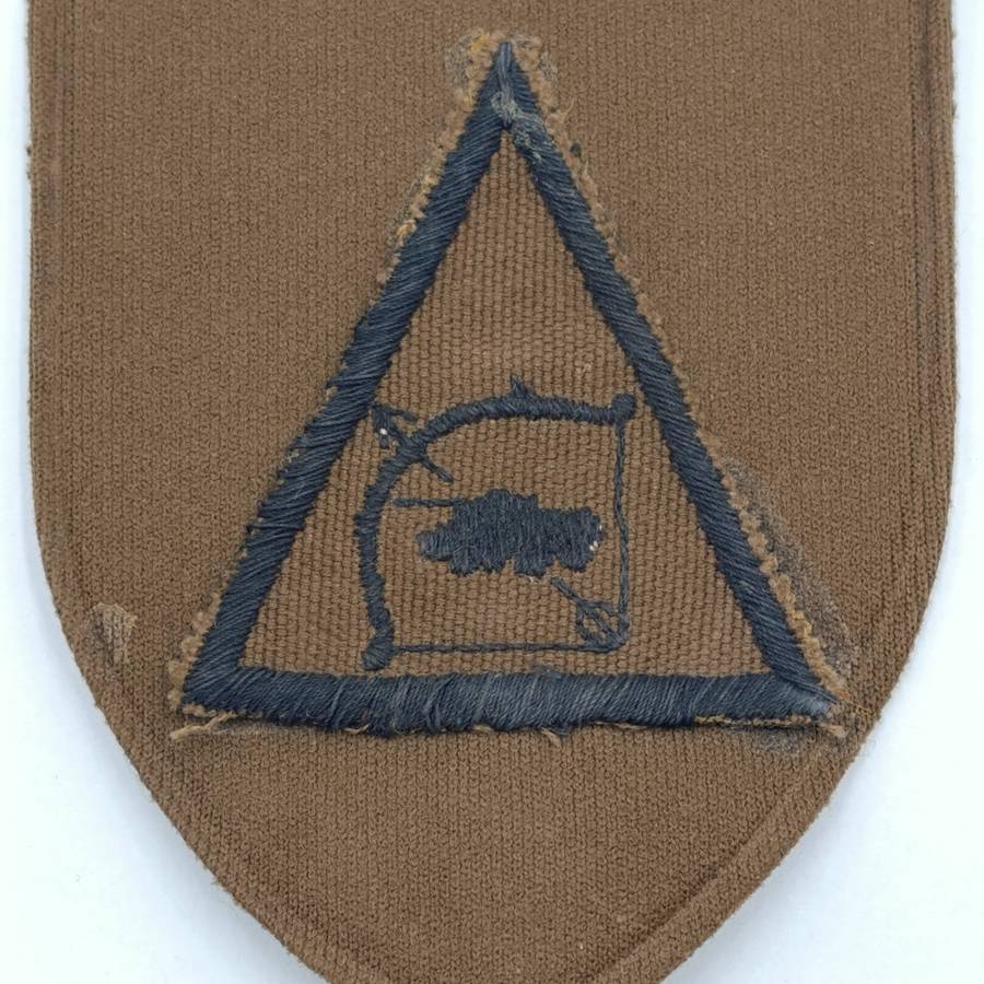 SADF 61 Mech A company (Infantry) arm patch - nutria badge on tupperware backing