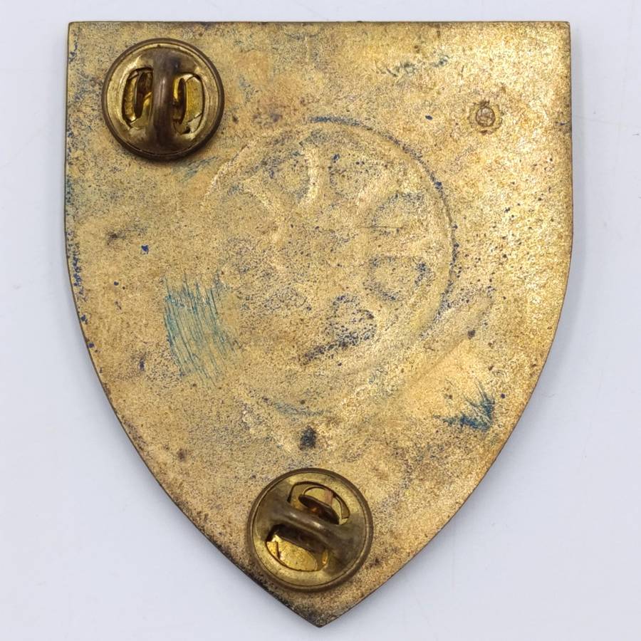 SADF Weenen Kliprivier commando shoulder flash - 2 pins