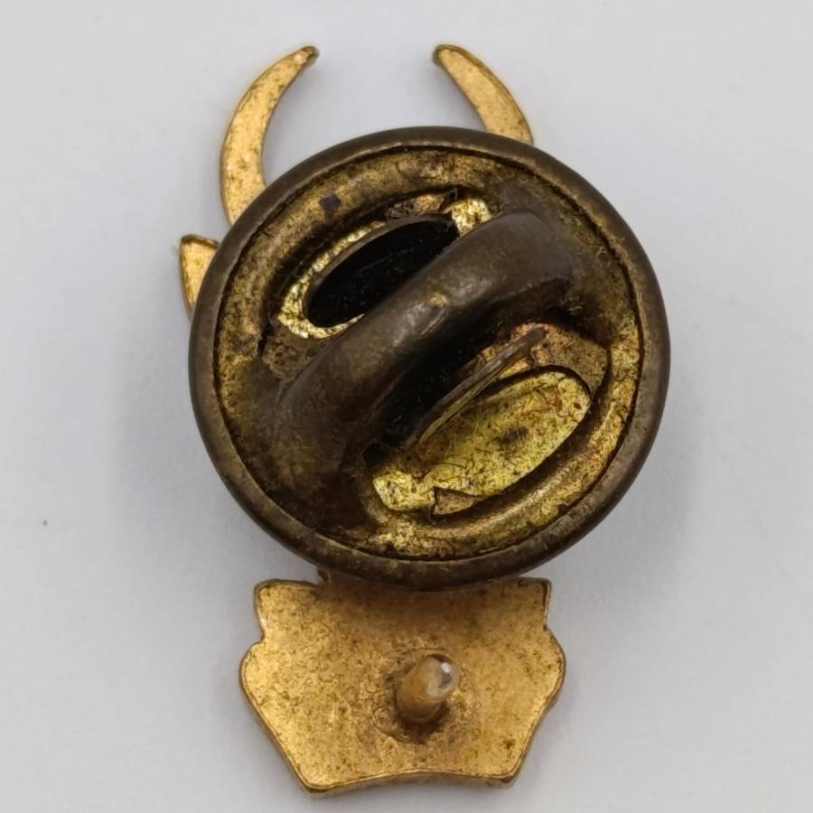 Pair of SA Infantry bokkop mess dress collar budges