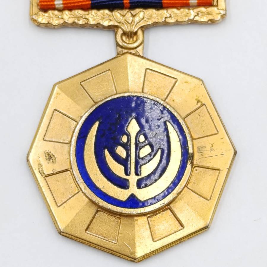 SADF Pro Patria fixed type medal - full size - #178807A