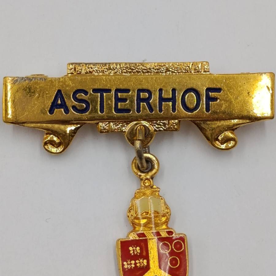 University of Pretoria vintage Asterhof brooch