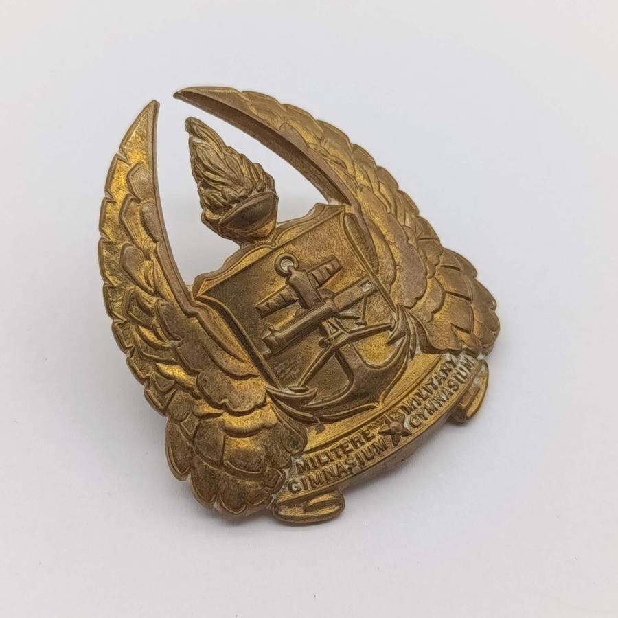 Pair of SA Military Gymnasium collar badges and cap badge