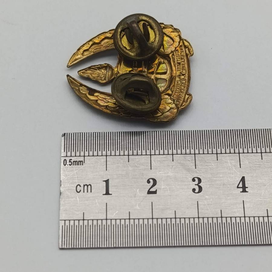 Pair of SA Military Gymnasium collar badges and cap badge