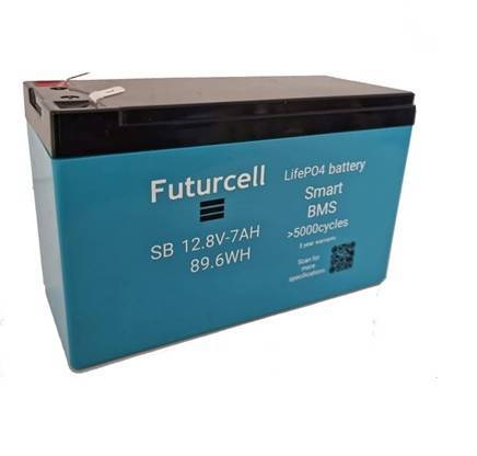 LifePO4 Battery With Smart BMS