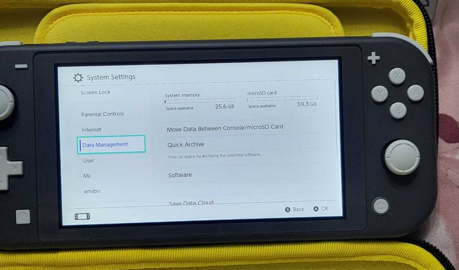 Nintendo Switch Lite