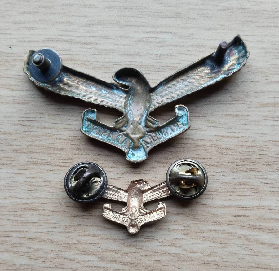 South African Air Force Cap and Colar Badge.