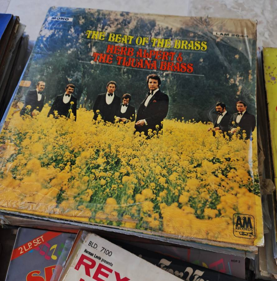 LIFETIME COLLECTION OF VINTAGE RECORDS! 200+ RECORDS