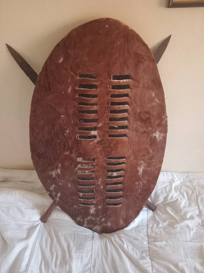 Zulu shield and assegais