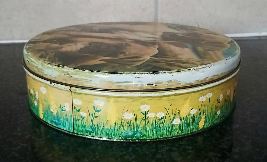 Vintage Mid-Century Pyotts Biscuit Tin | Boxer Puppies | South African Collectible