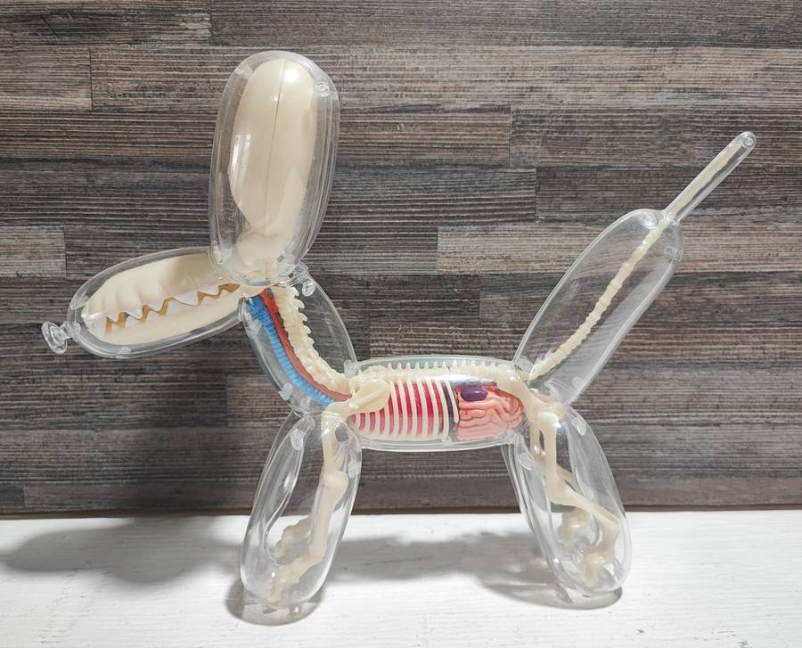 Balloon Dog Anatomy by Jason Freeny