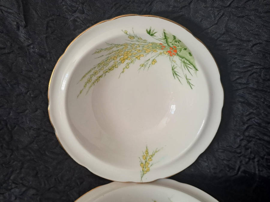 Vintage Royal Stafford dessert bowls x 6"Broom" pattern