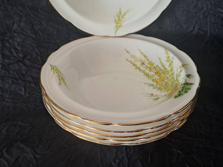 Vintage Royal Stafford dessert bowls x 6"Broom" pattern