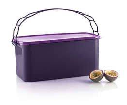 Tupperware Carry Away 9L